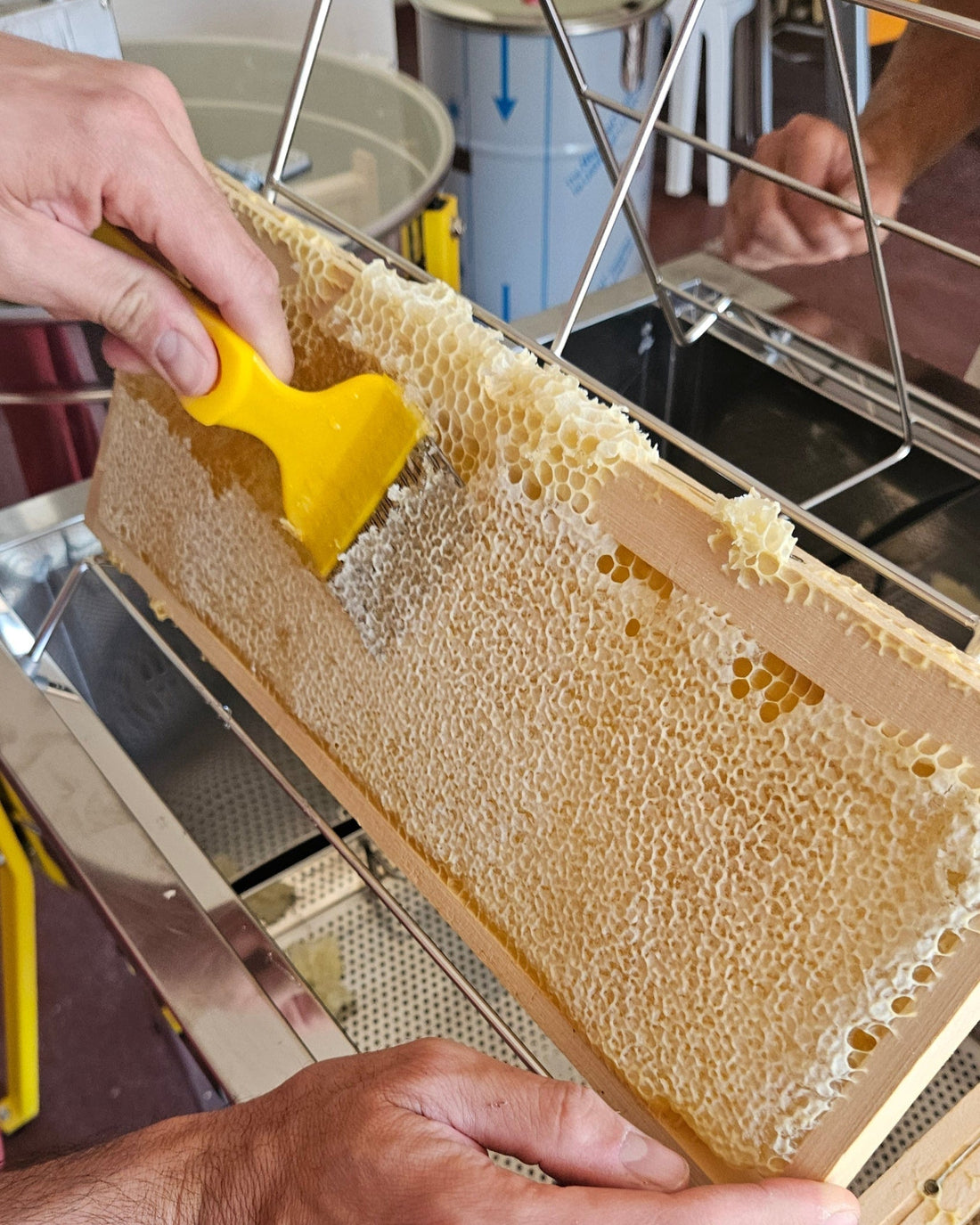 Quelle est la différence entre un miel de printemps et un miel d'été?