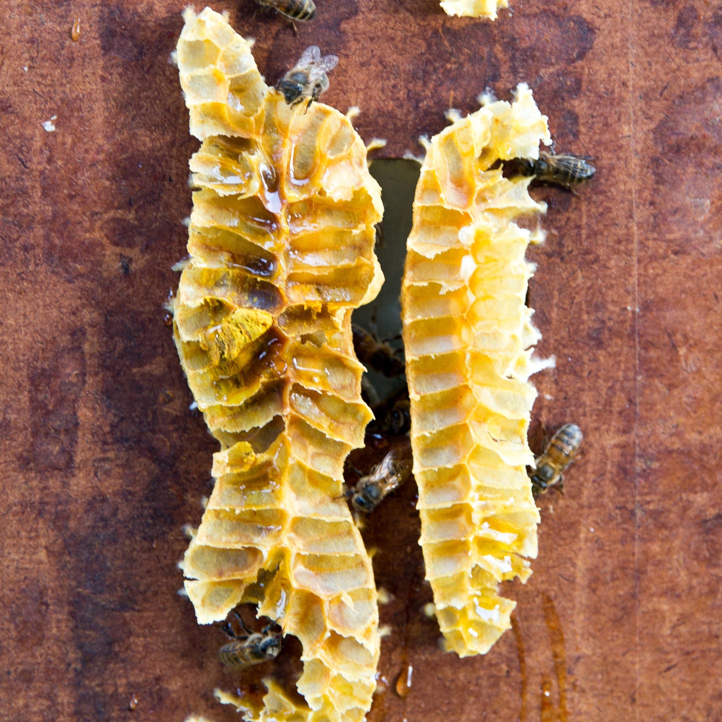 Propolis pure 50g
