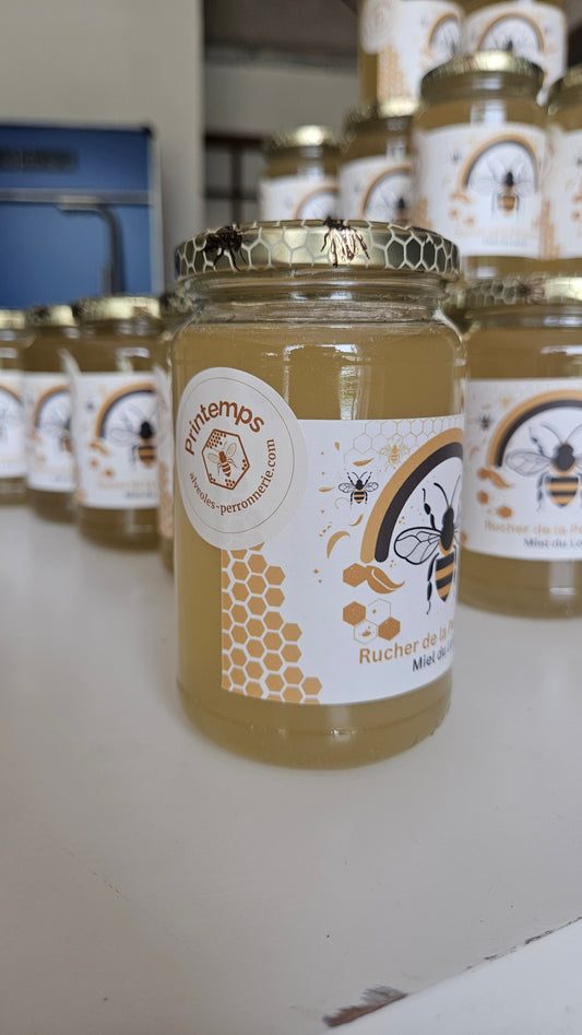 Miel de Printemps du Loiret - Doux et Floral