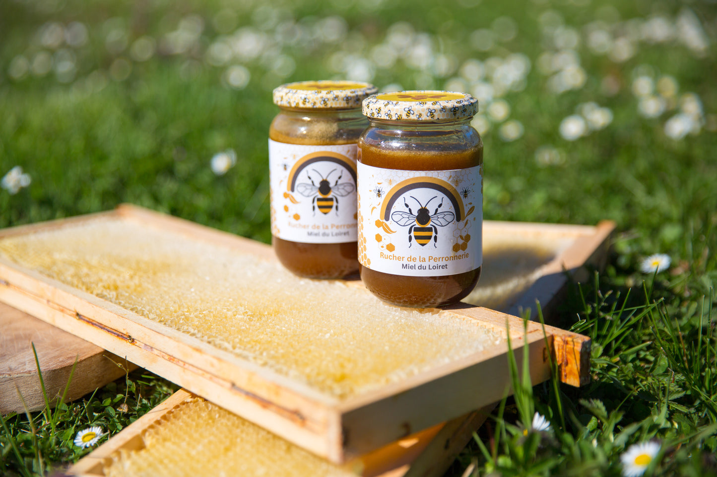 Miel d’Été du Loiret – Toutes fleurs