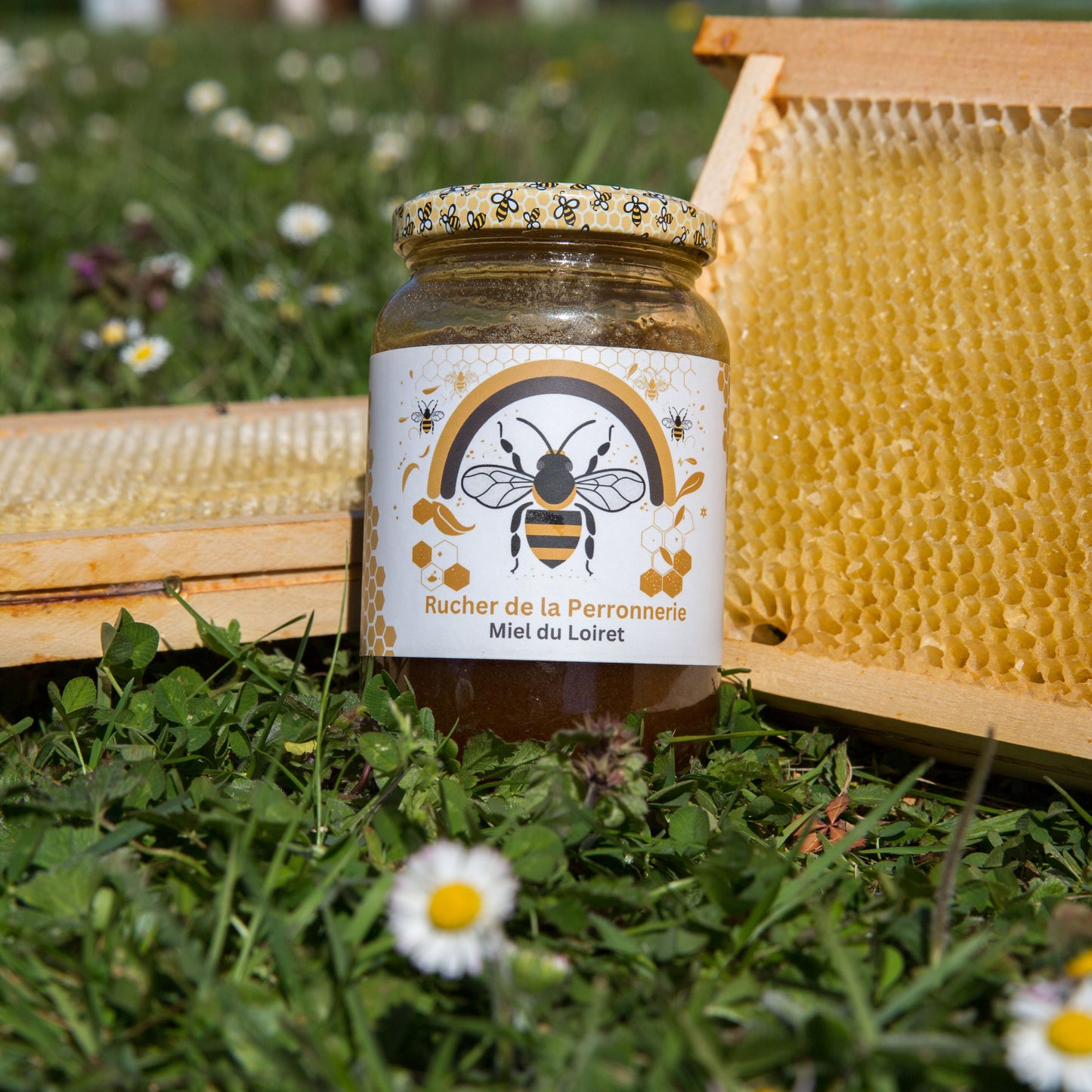 Miel d’Été du Loiret – Toutes fleurs