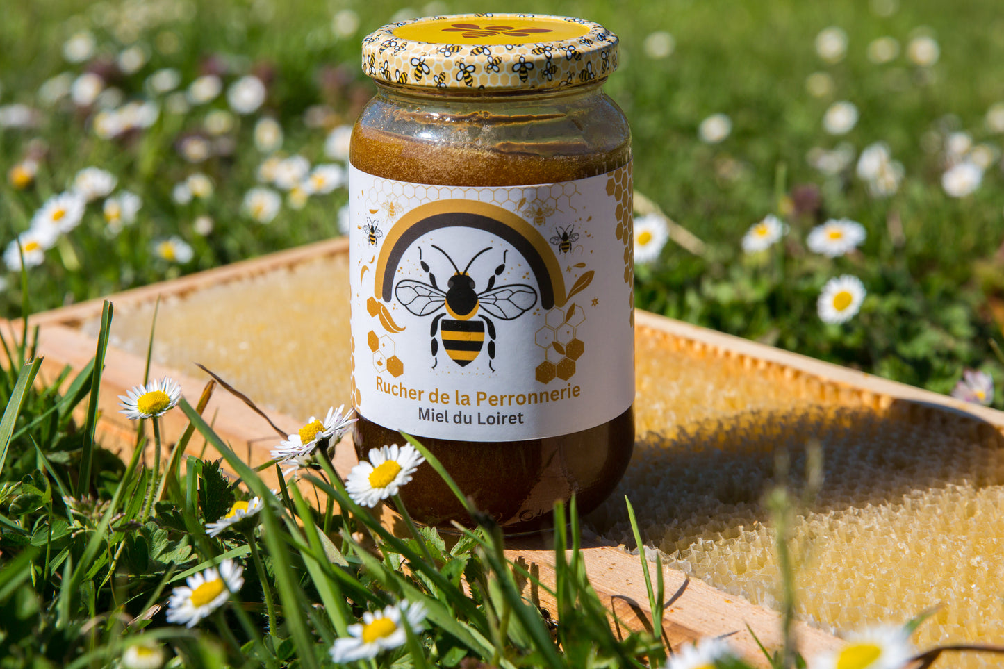 Miel d’Été du Loiret – Toutes fleurs