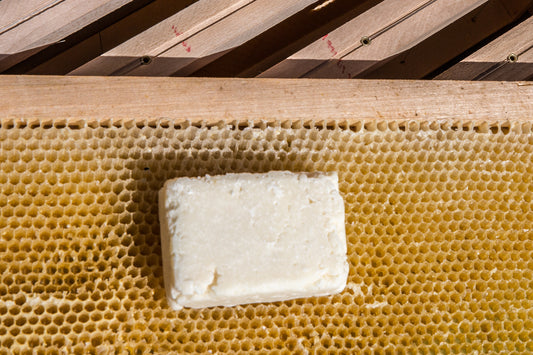 Shampoing Artisanal au Miel – Tous Types de Cheveux