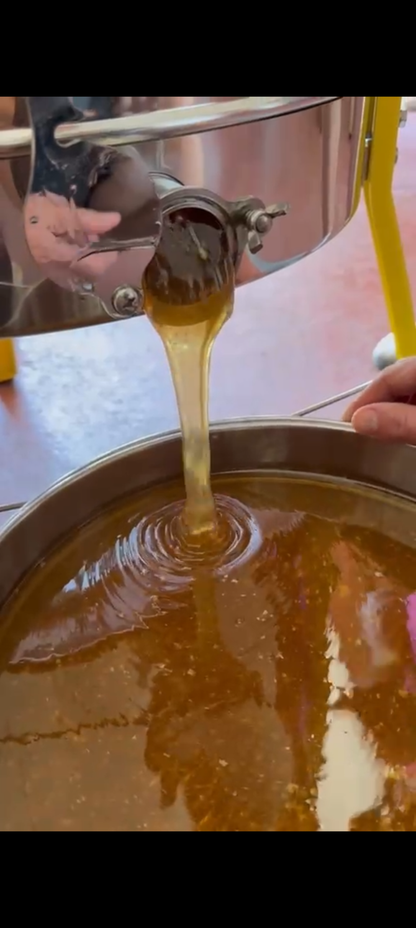 Miel de Printemps 2026 du Loiret - Doux et Fruité